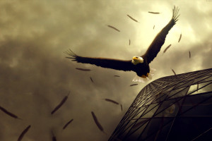 赛场上的“小火山”！鲁内比赛数据告诉你，他为何如此火爆！