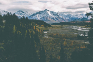 数据是关键：电竞战队为何如此看重国际统计分析！